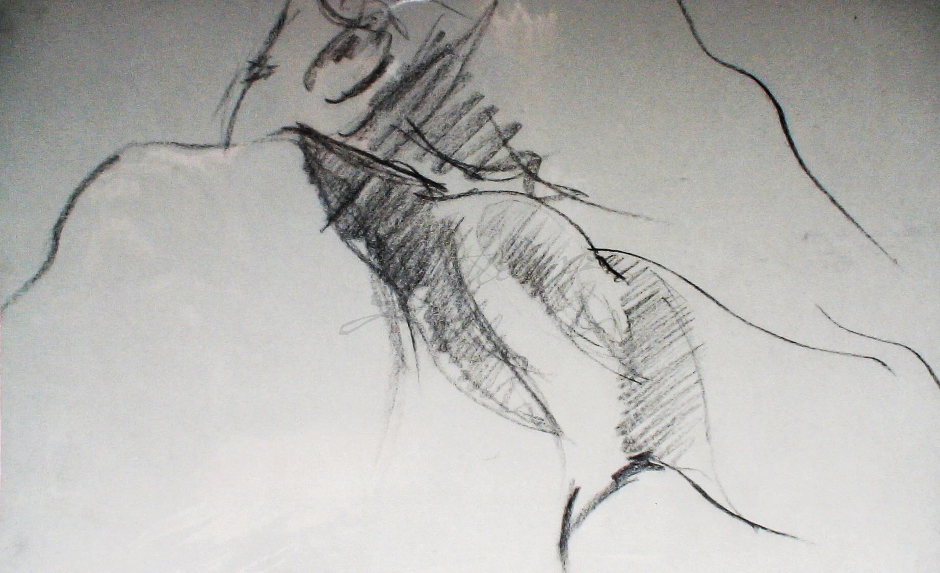 -, Carvão/Crayon