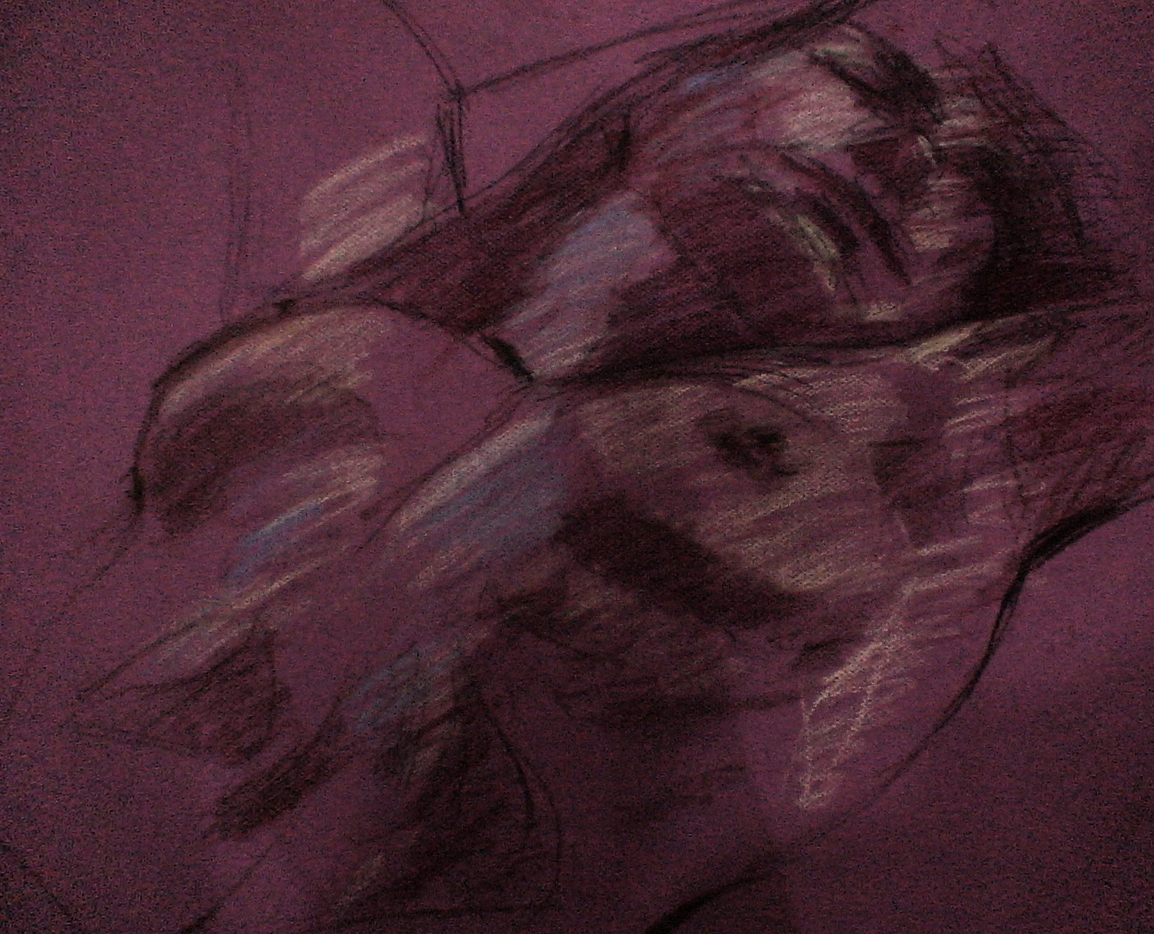 -, Pastel