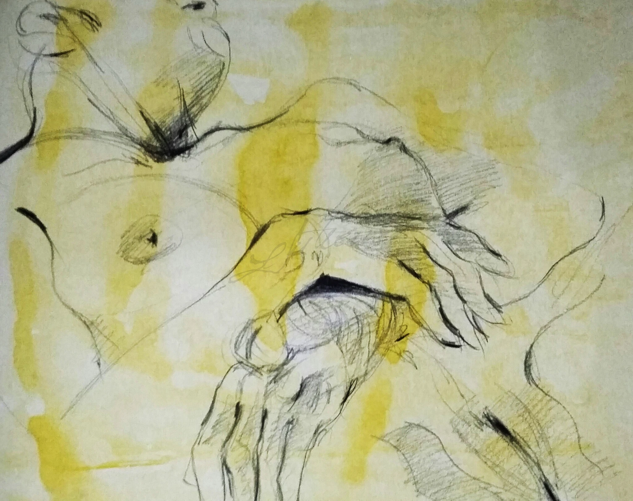 -, Carvão/Crayon