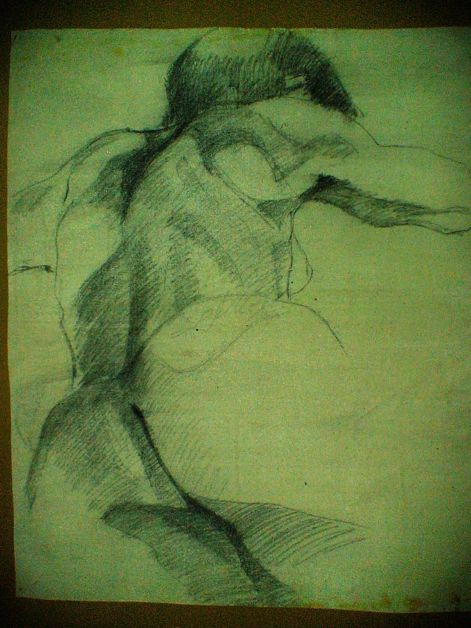 -, Carvão/Crayon