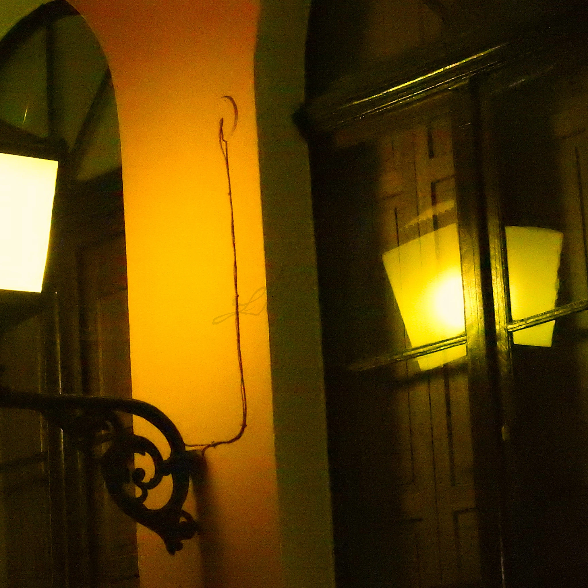 -, Fotografia