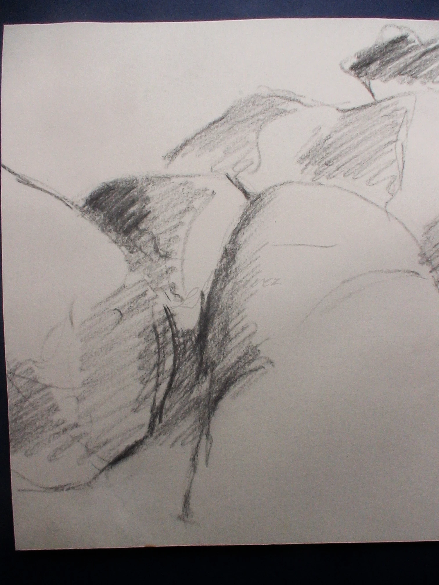 -, Carvão/Crayon