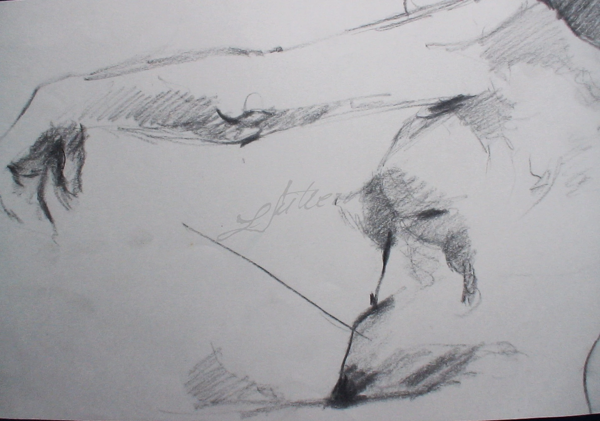 -, Carvão/Crayon