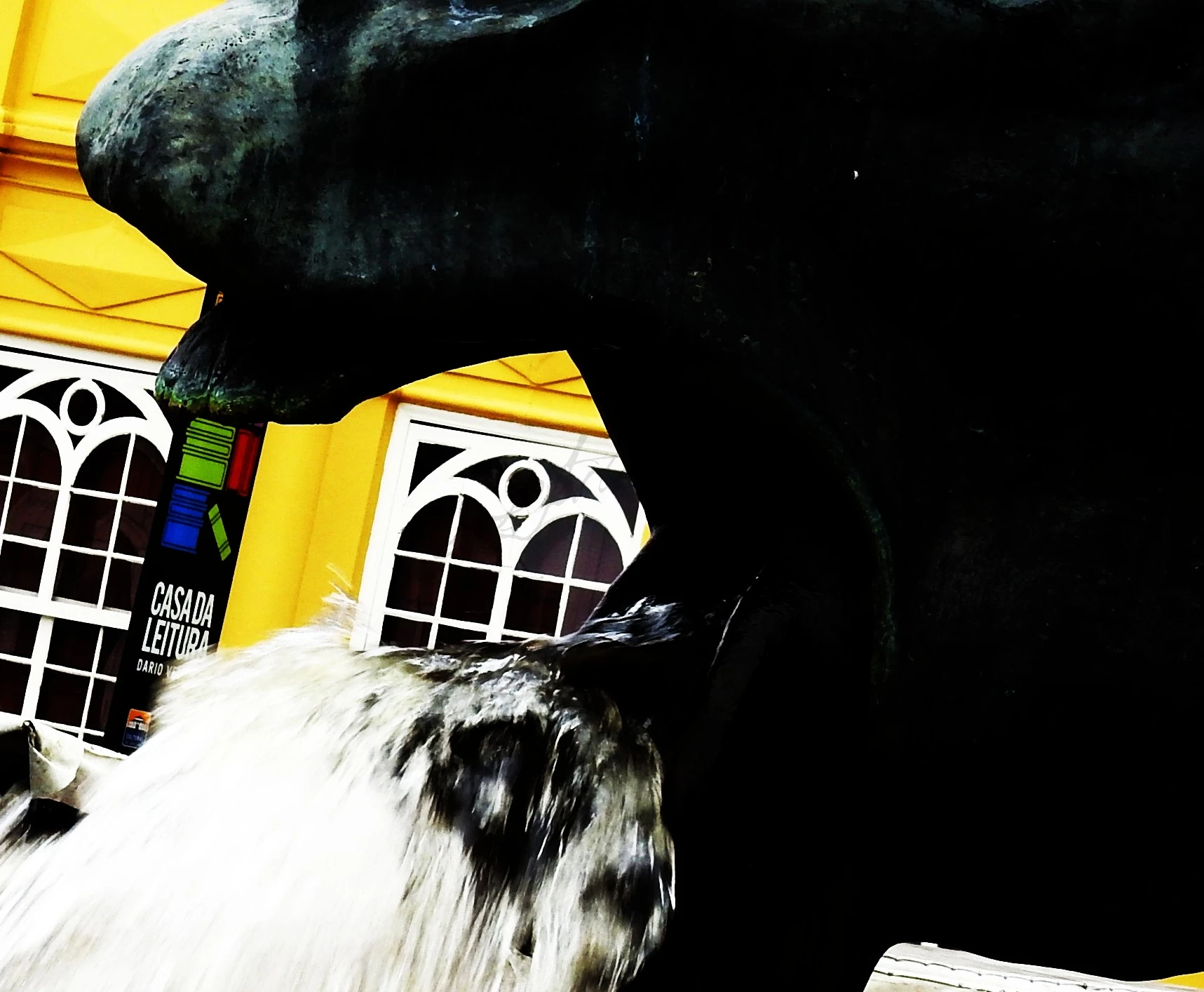 Fonte no Centro Histórico, Fotografia