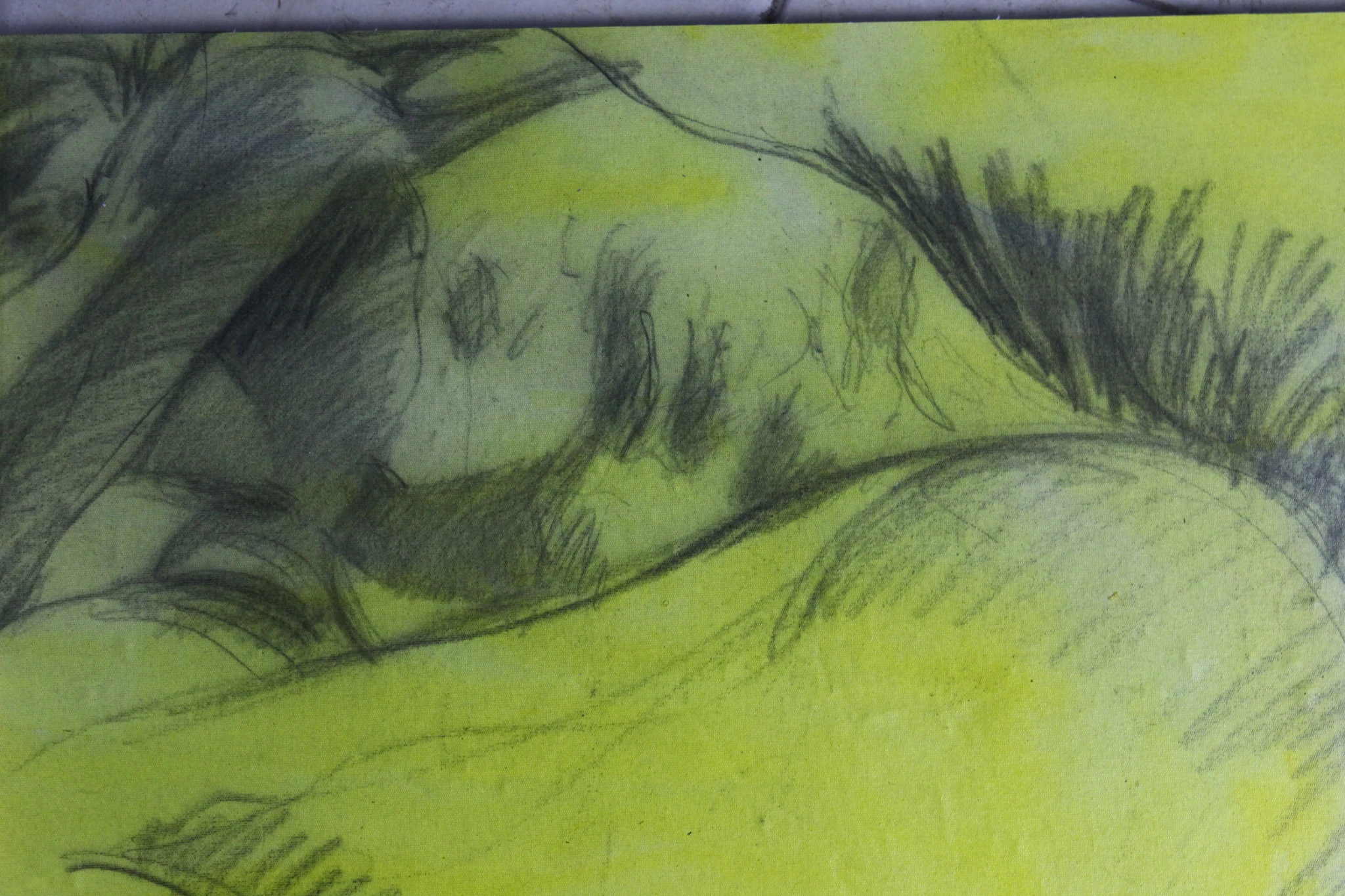 -, Carvão/Crayon