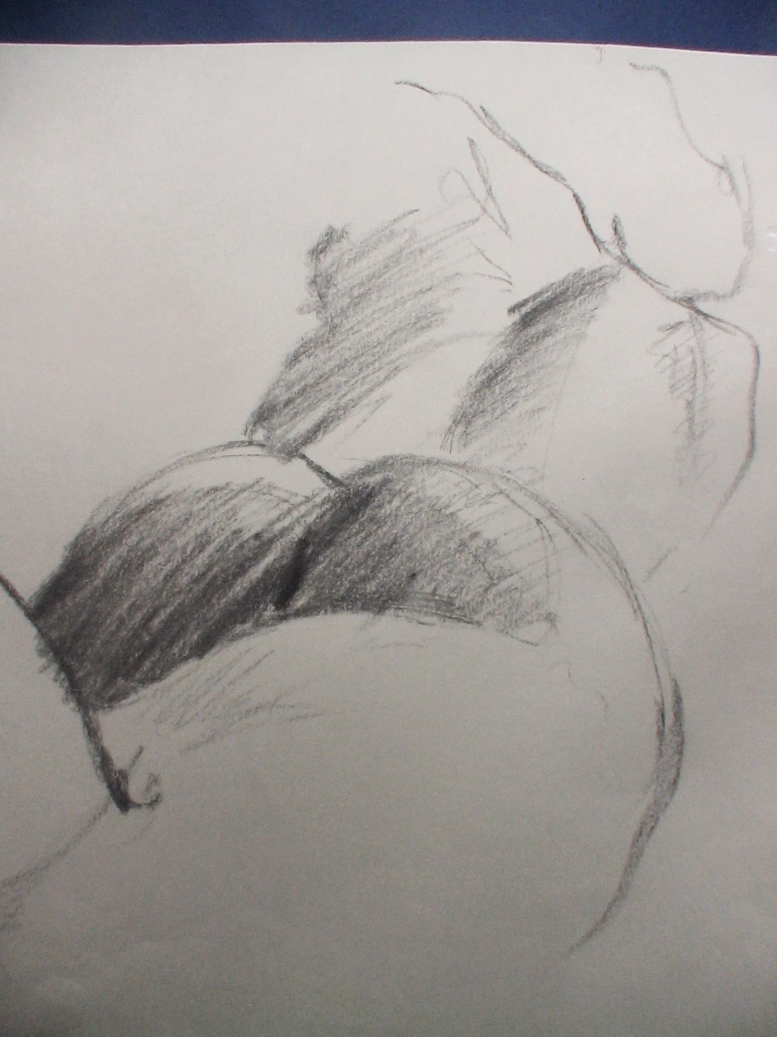 -, Carvão/Crayon