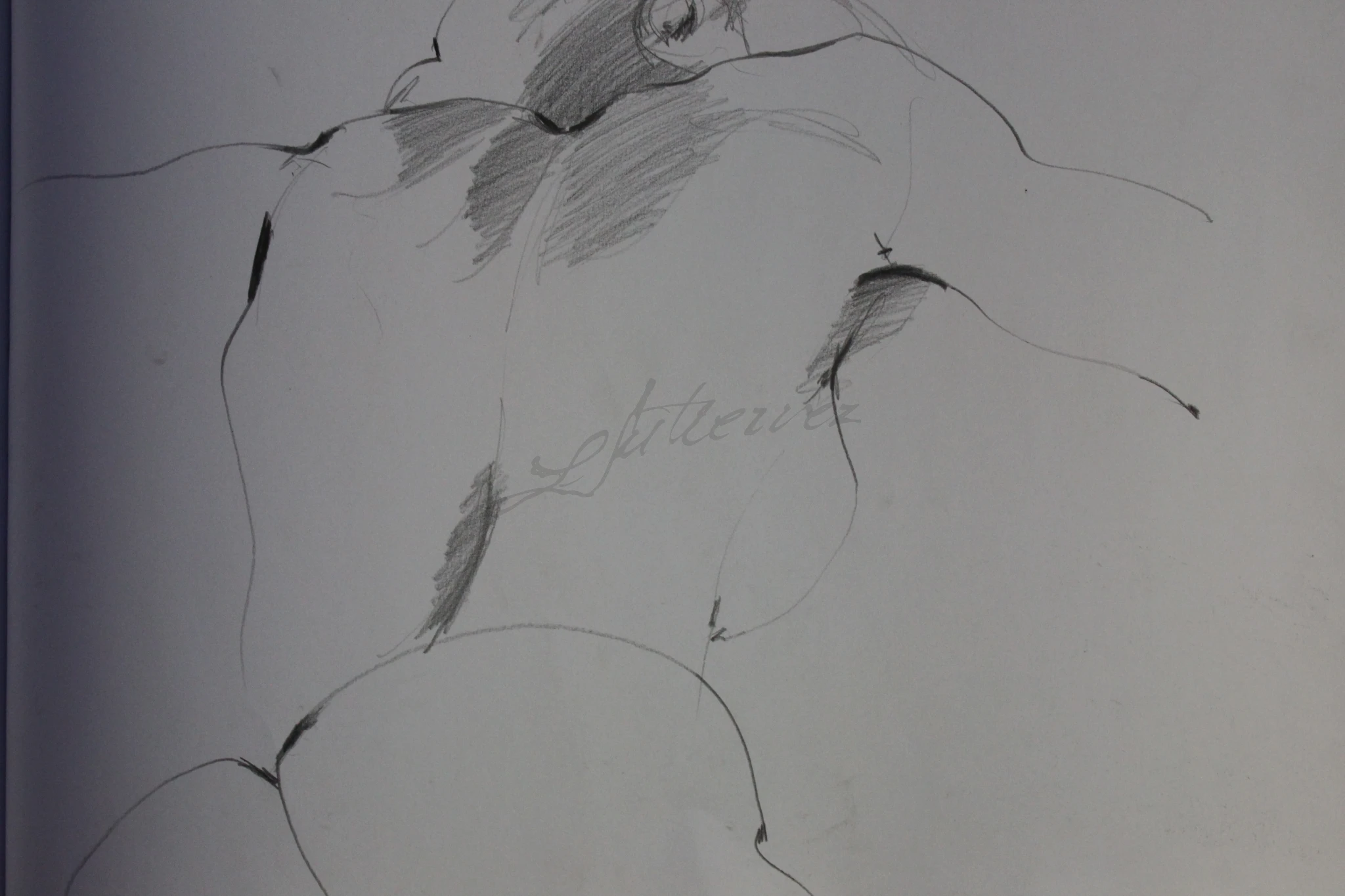 -, Carvão/Crayon