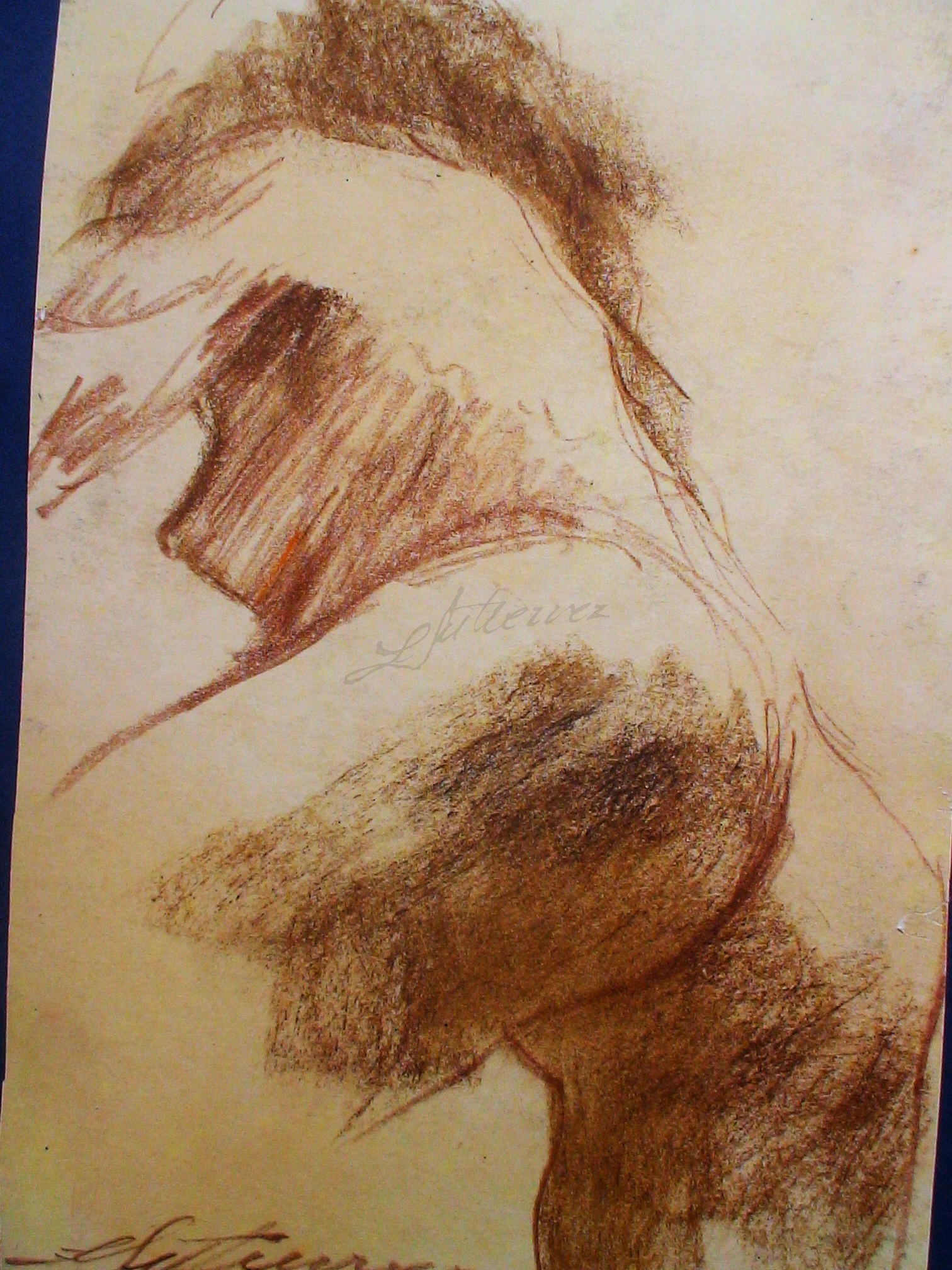 -, Esboço