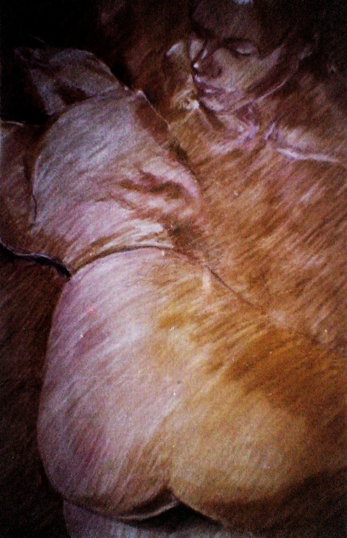 -, Acervo