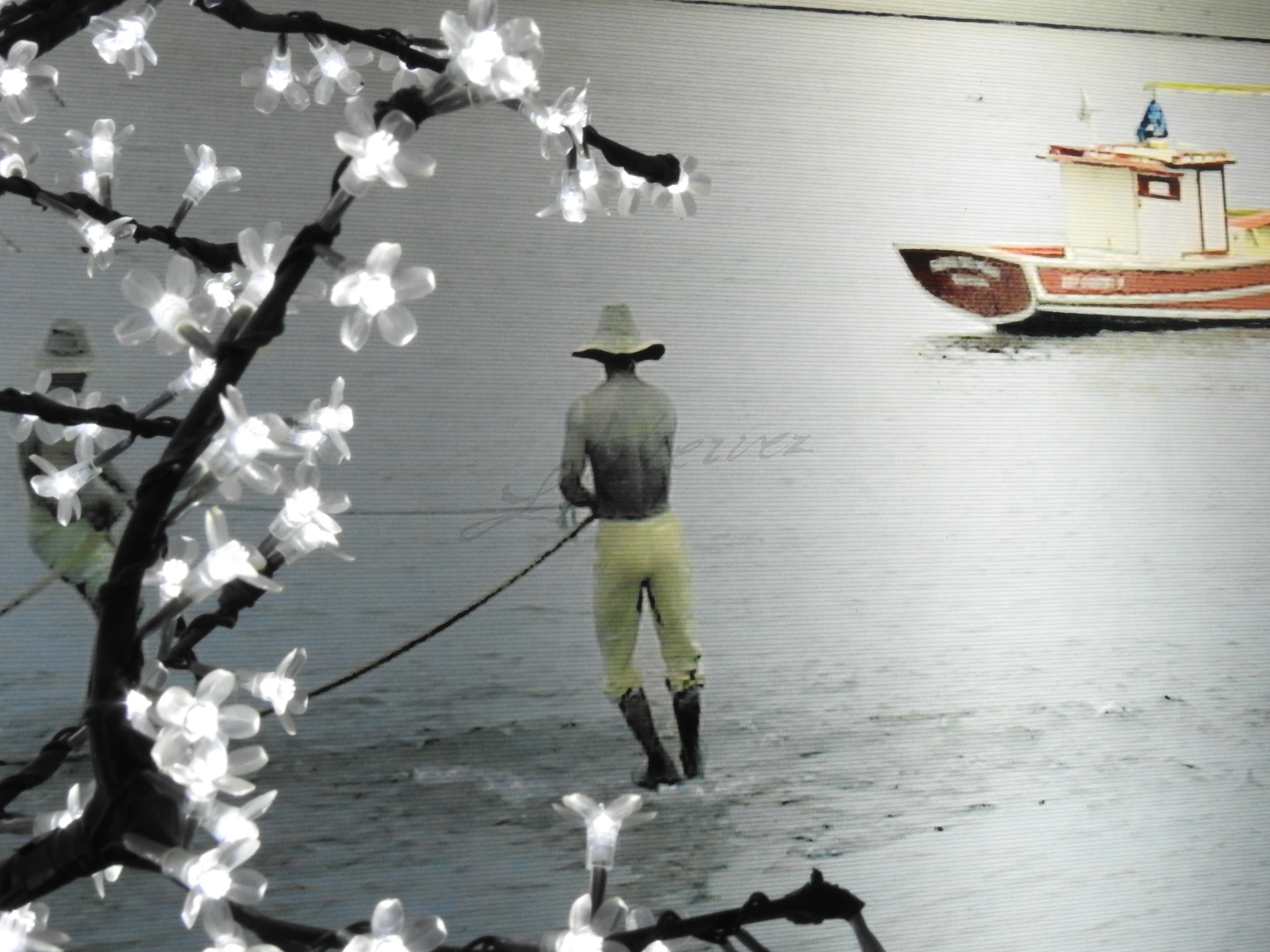 -, Fotografia