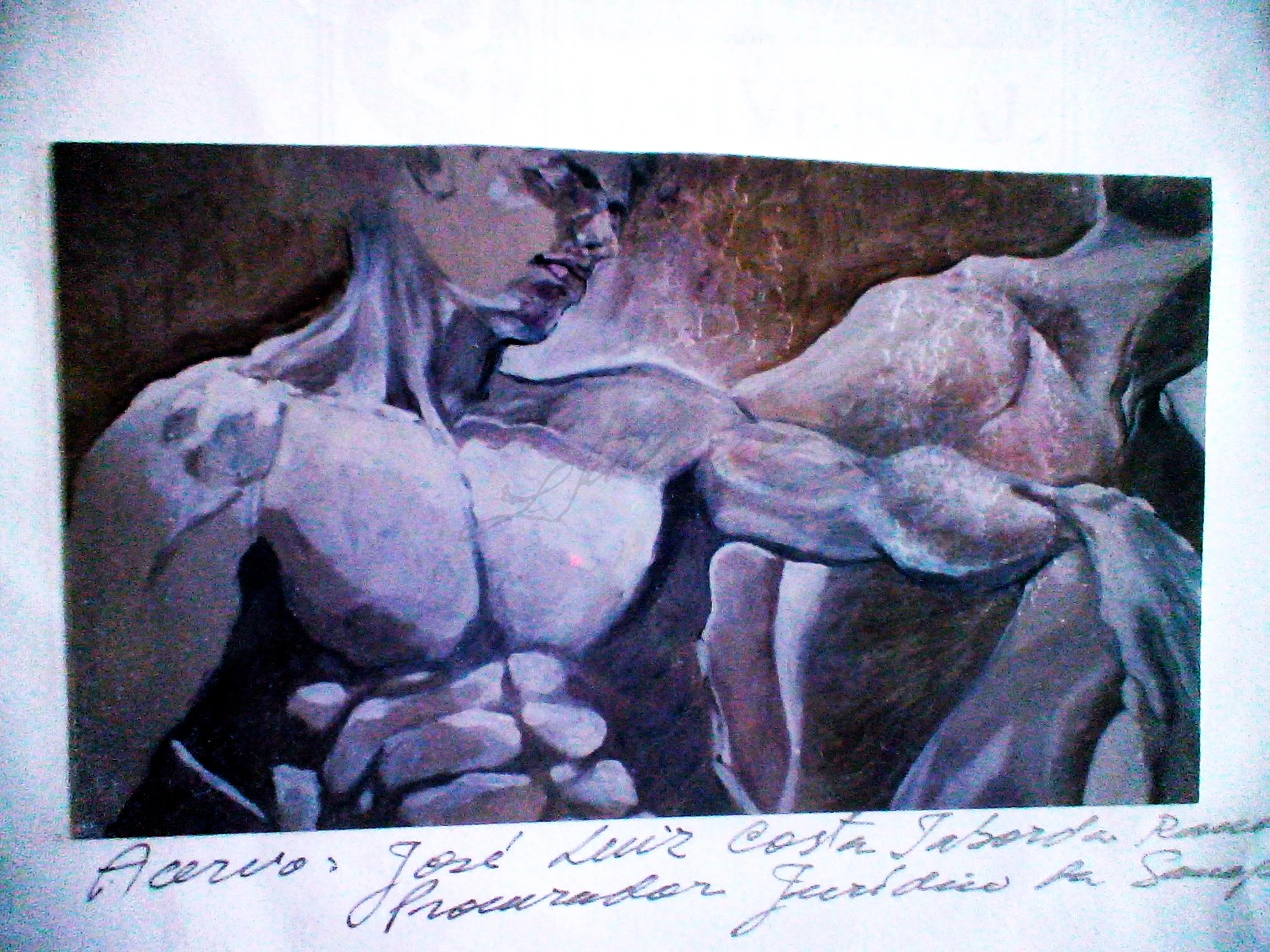 -, Acervo