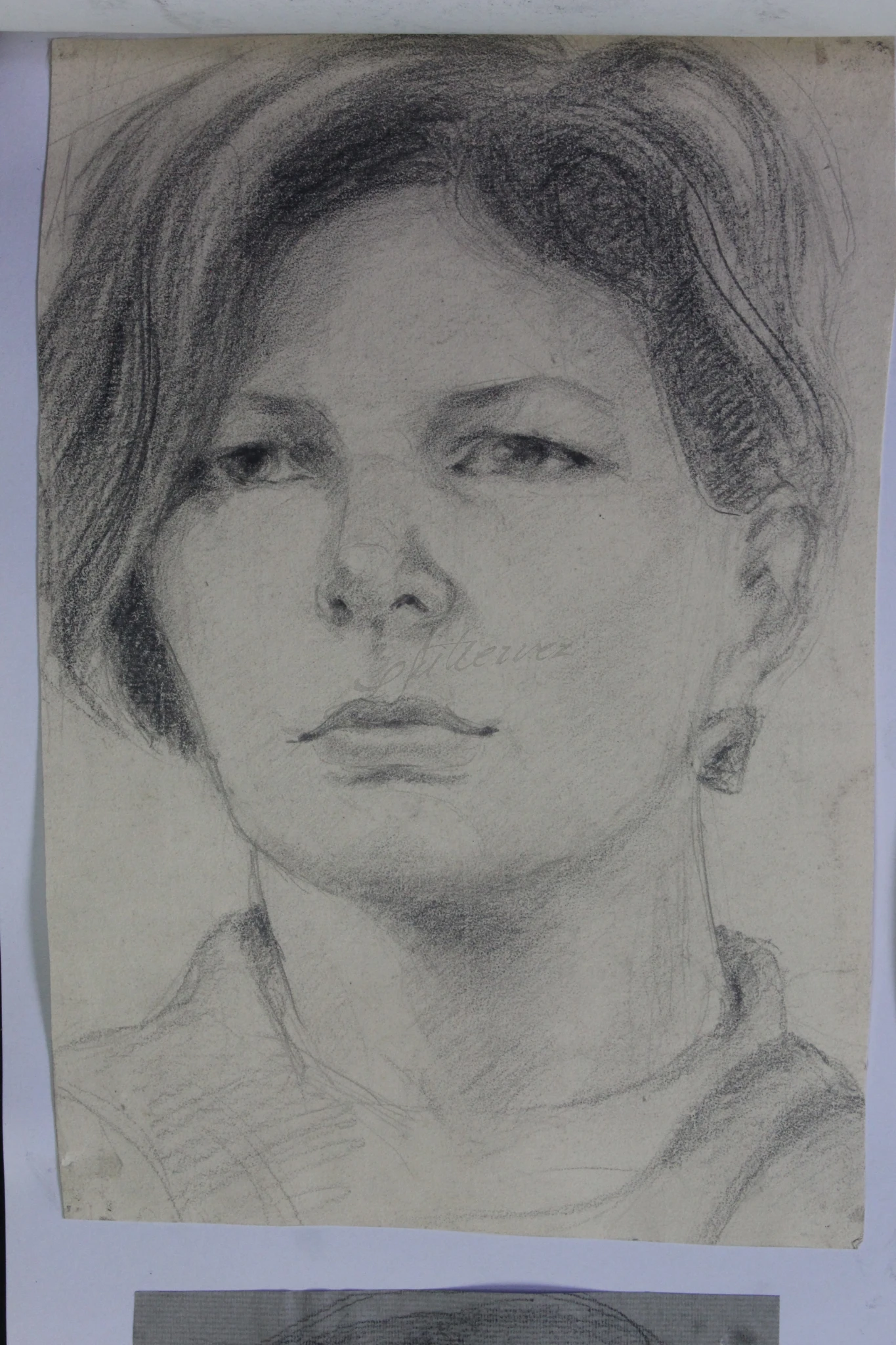 -, Retrato
