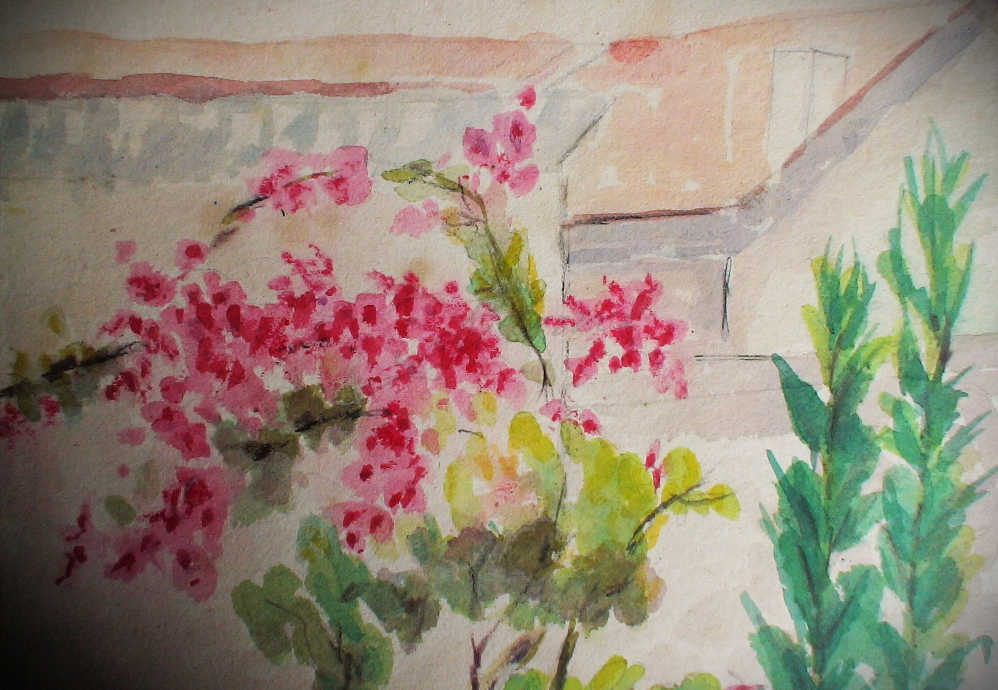 -, Aquarela