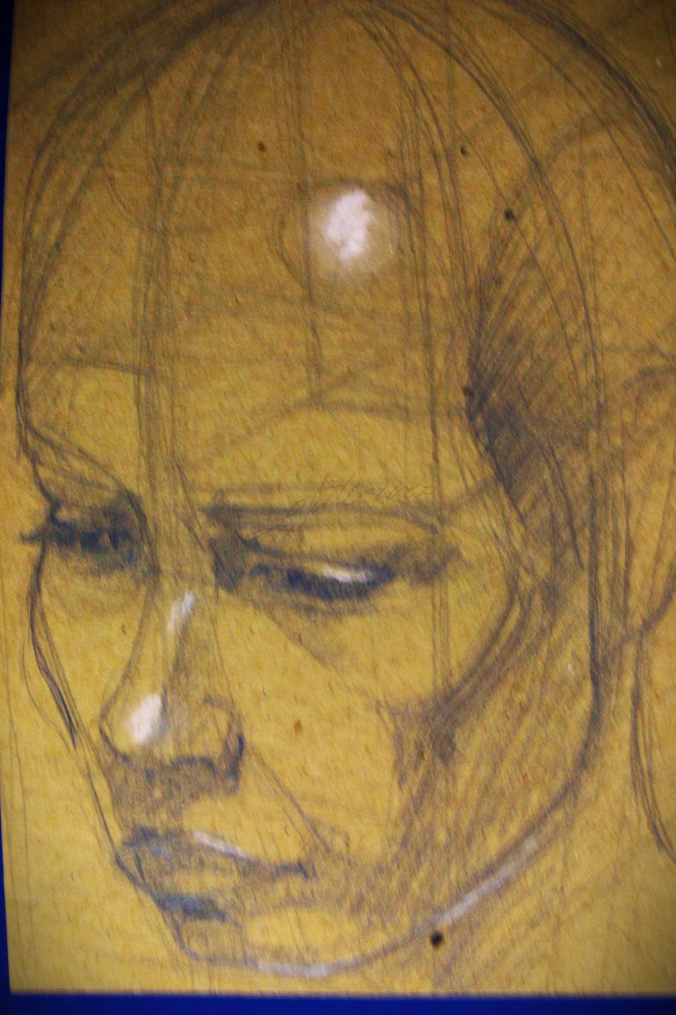 -, Retrato