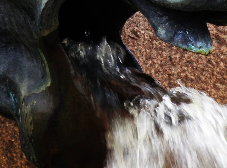 -, Fotografia