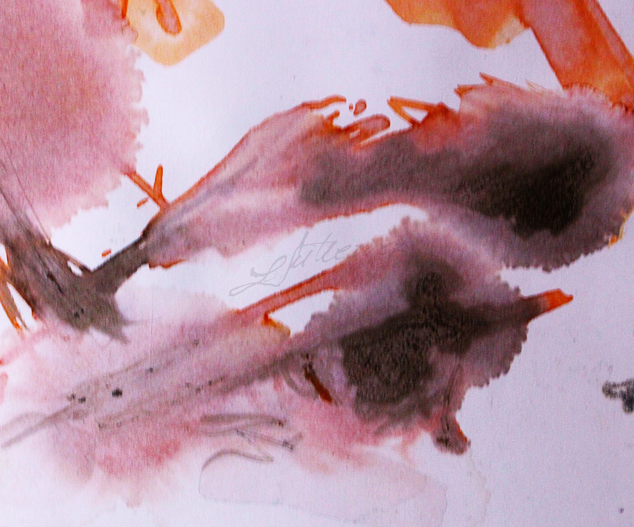 -, Aquarela